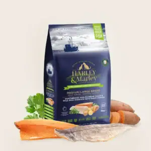 Harley & Marley dog food for sensitive tummies.