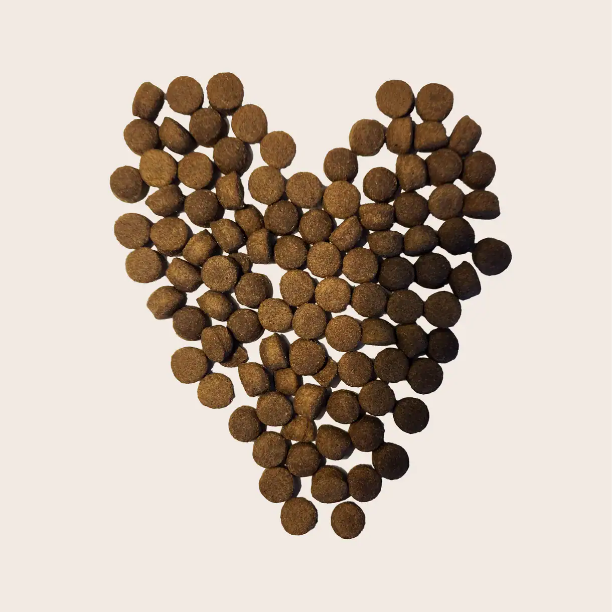 Heart-shaped dog biscuits arrangement