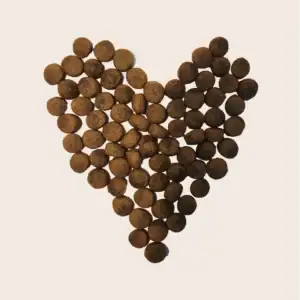 Heart-shaped arrangement of pet food kibble.