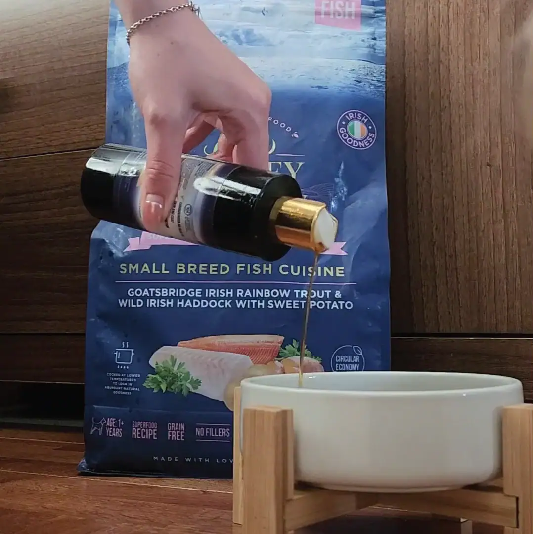 Pouring fish oil into dog's food bowl