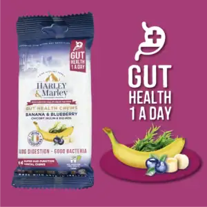 Harley & Marley gut health chews for dogs.