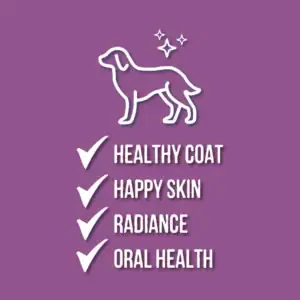Dog health benefits: coat, skin, radiance, oral health.
