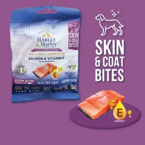 Salmon dog treats for healthy skin and coat.