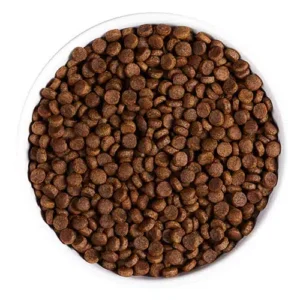 Bowl of dry dog food pellets